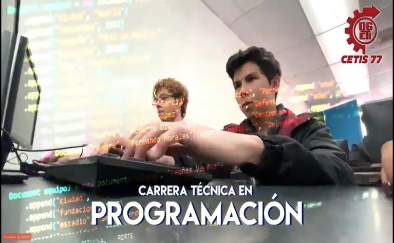 Técnico en Programación